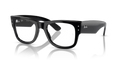 MEGA WAYFARER OPTICS