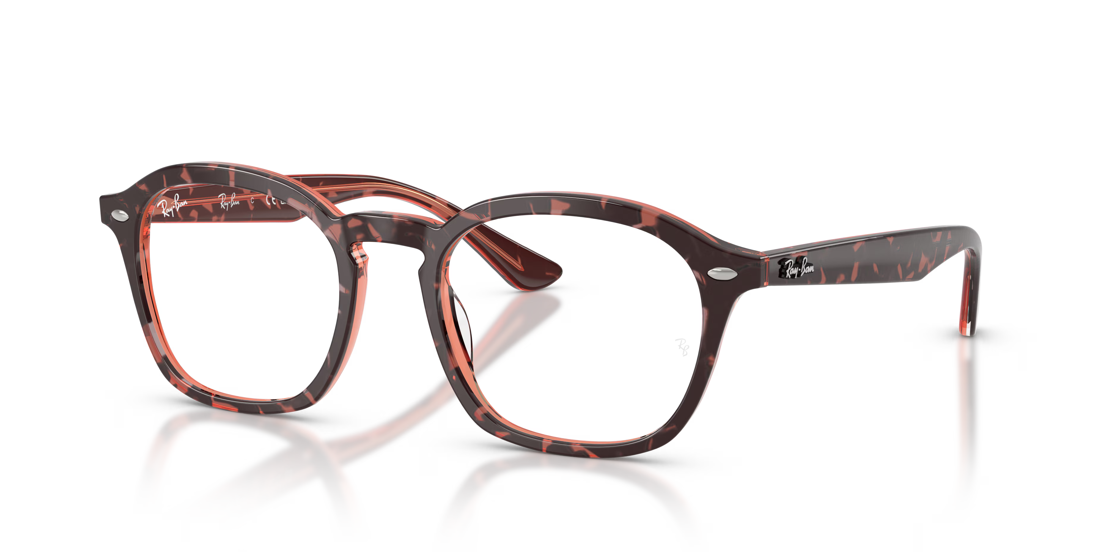 RB5451 OPTICS