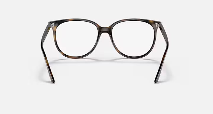 RB4378V OPTICS