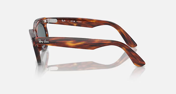 WAYFARER OVAL