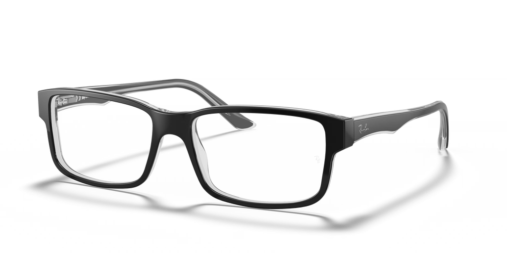 RB5245 OPTICS