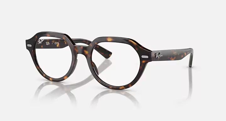 GINA OPTICS
