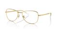 RB3733V OPTICS