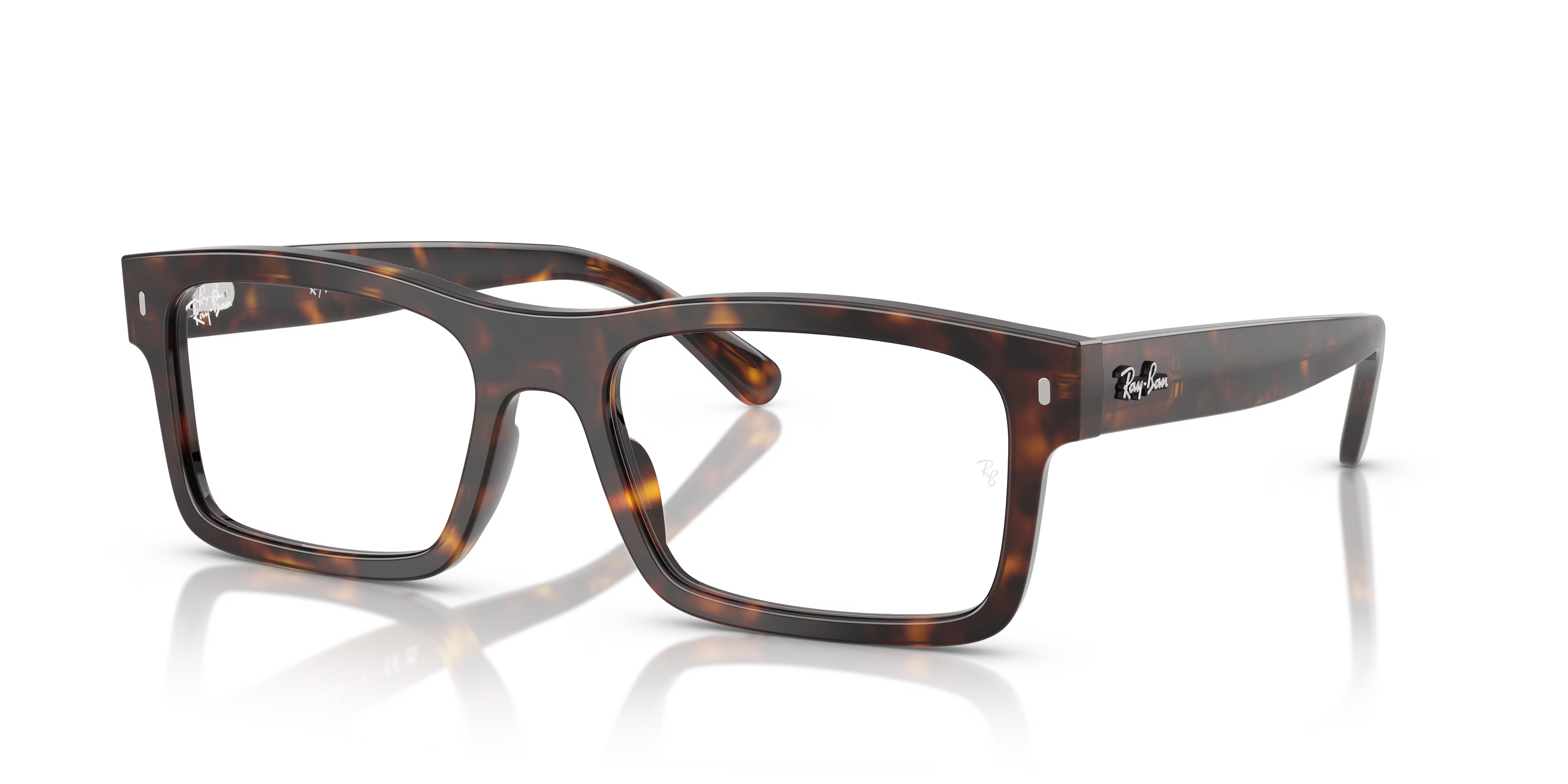 RB5435 OPTICS