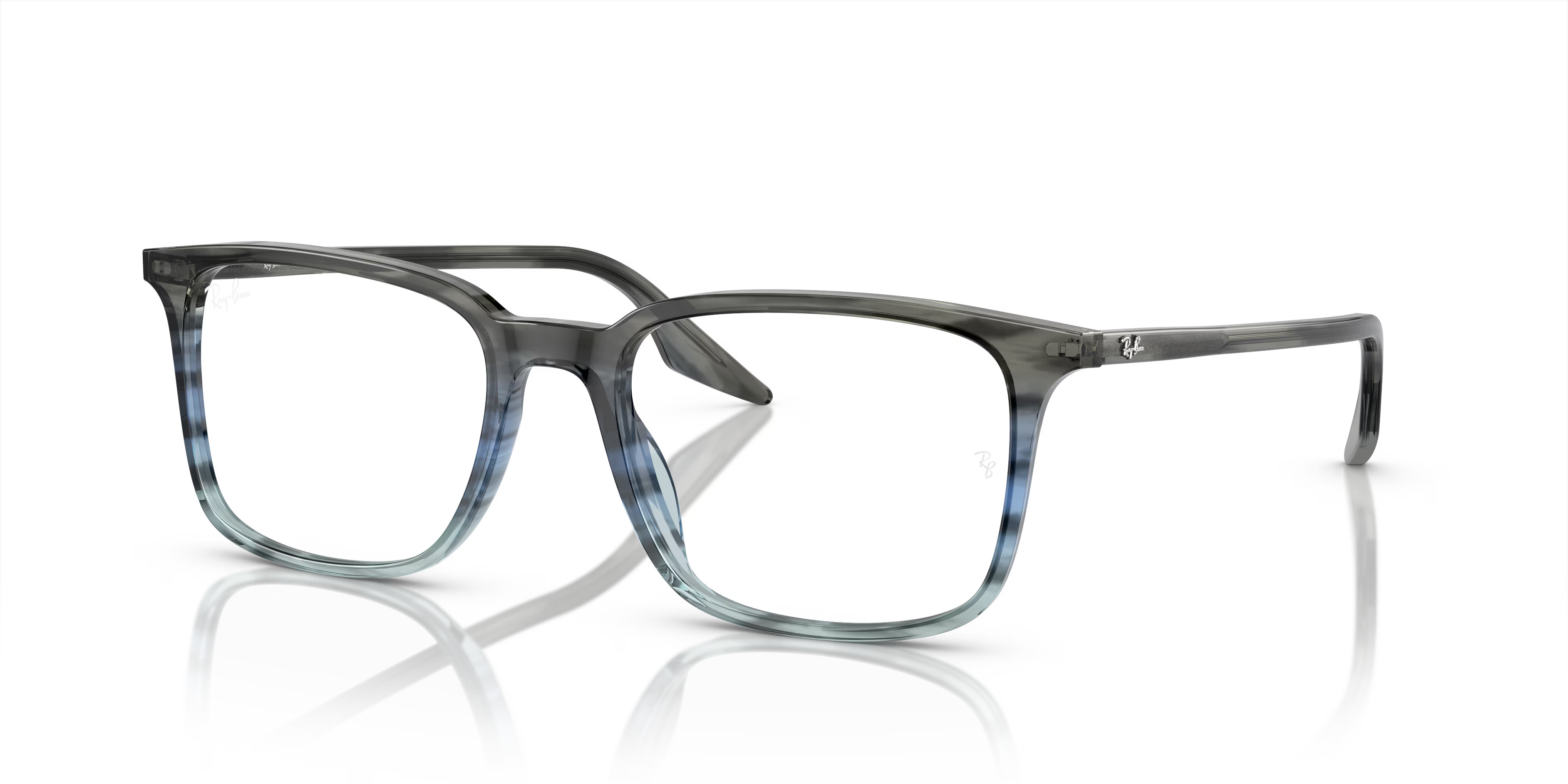 RB5421 OPTICS