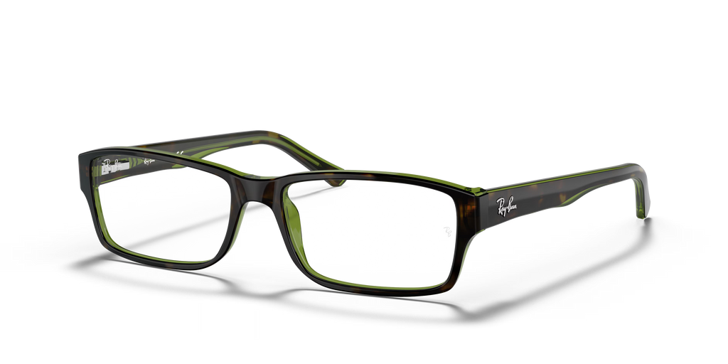 RB5169 OPTICS