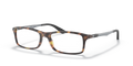 RB7017 OPTICS