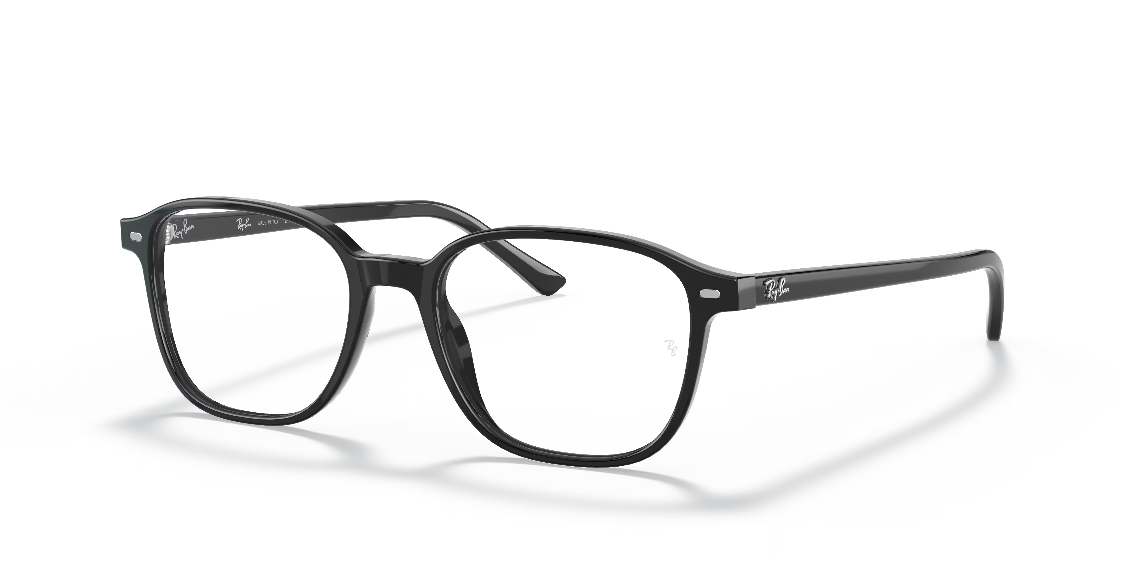 LEONARD OPTICS