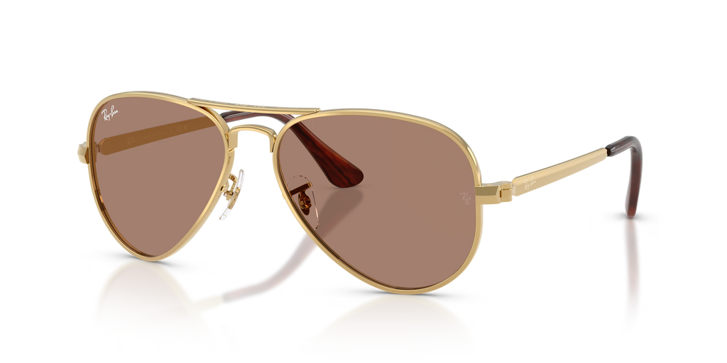 AVIATOR MAX HOLIDAY LIMITED