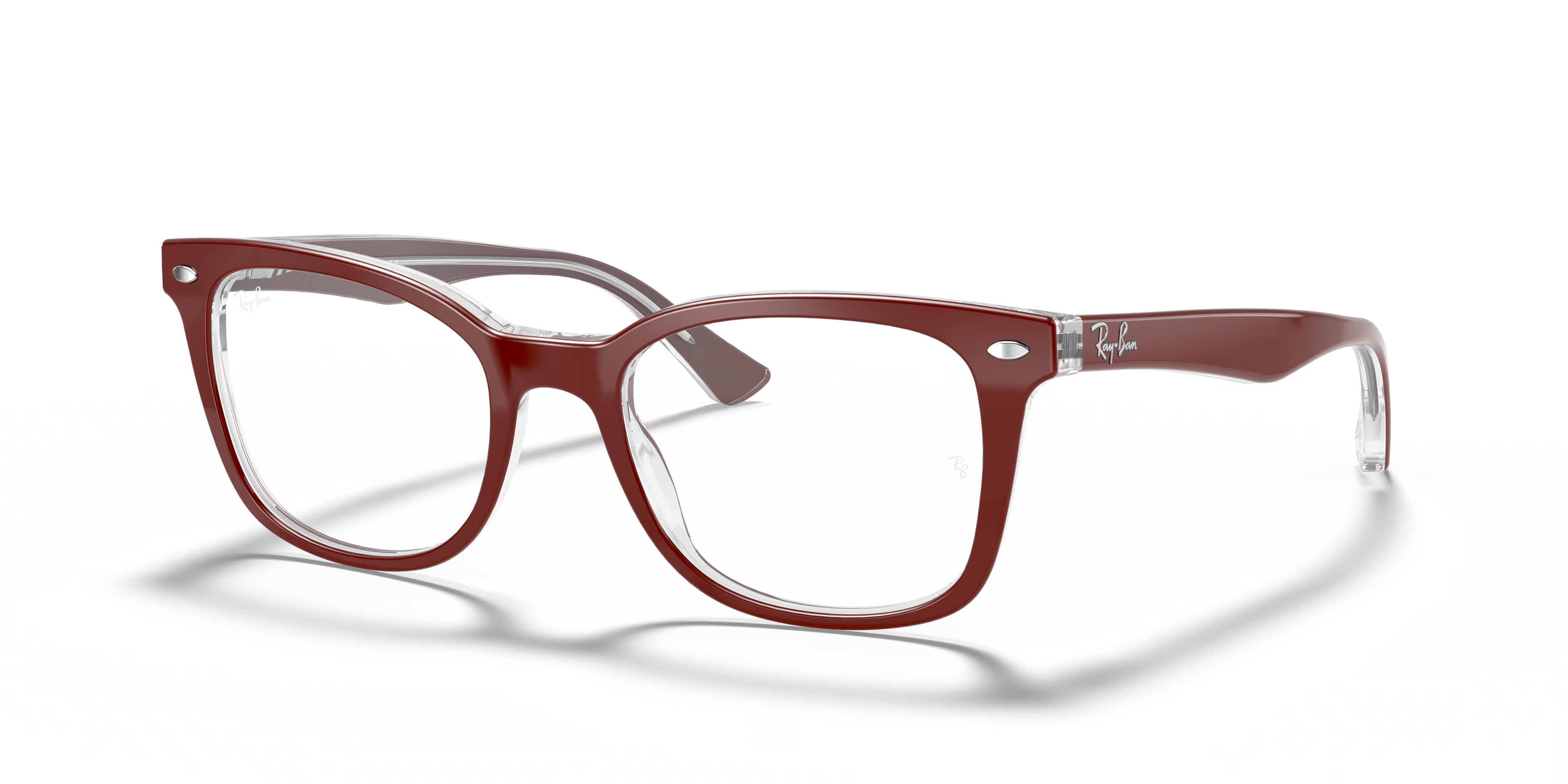 RB5285 OPTICS