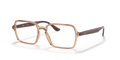 RB7198 OPTICS