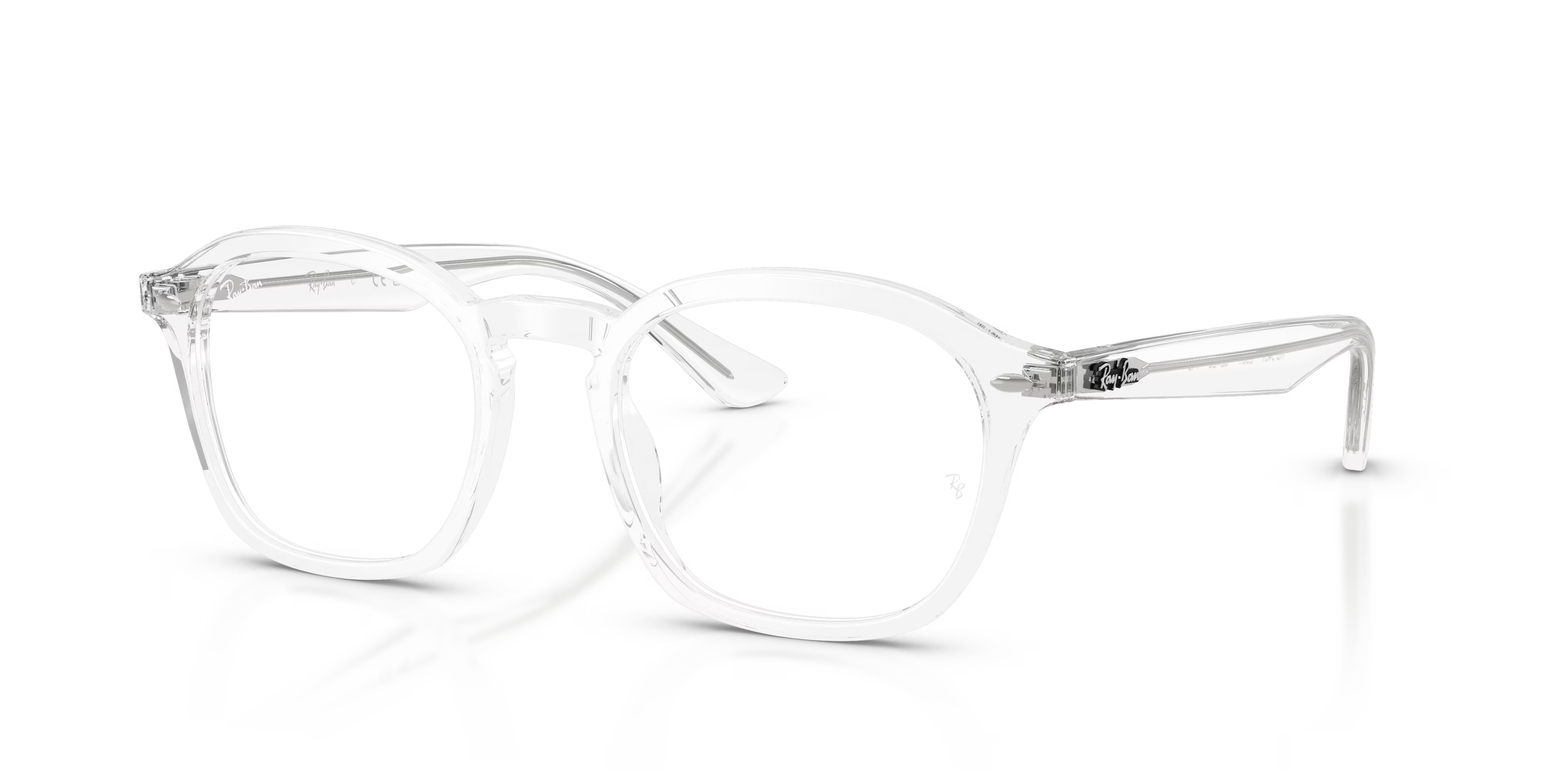 RB5451 OPTICS