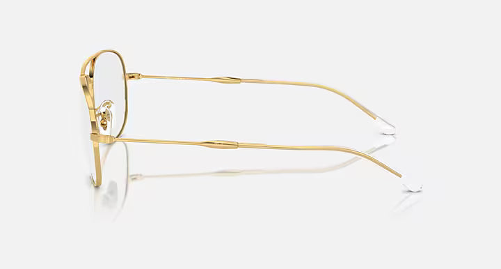 BAIN BRIDGE TRANSITIONS®