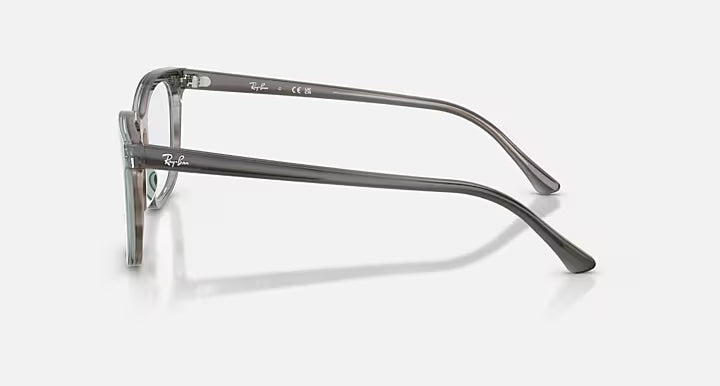 RB5446 OPTICS