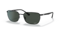 RB3684 POLARIZED+ LENSES