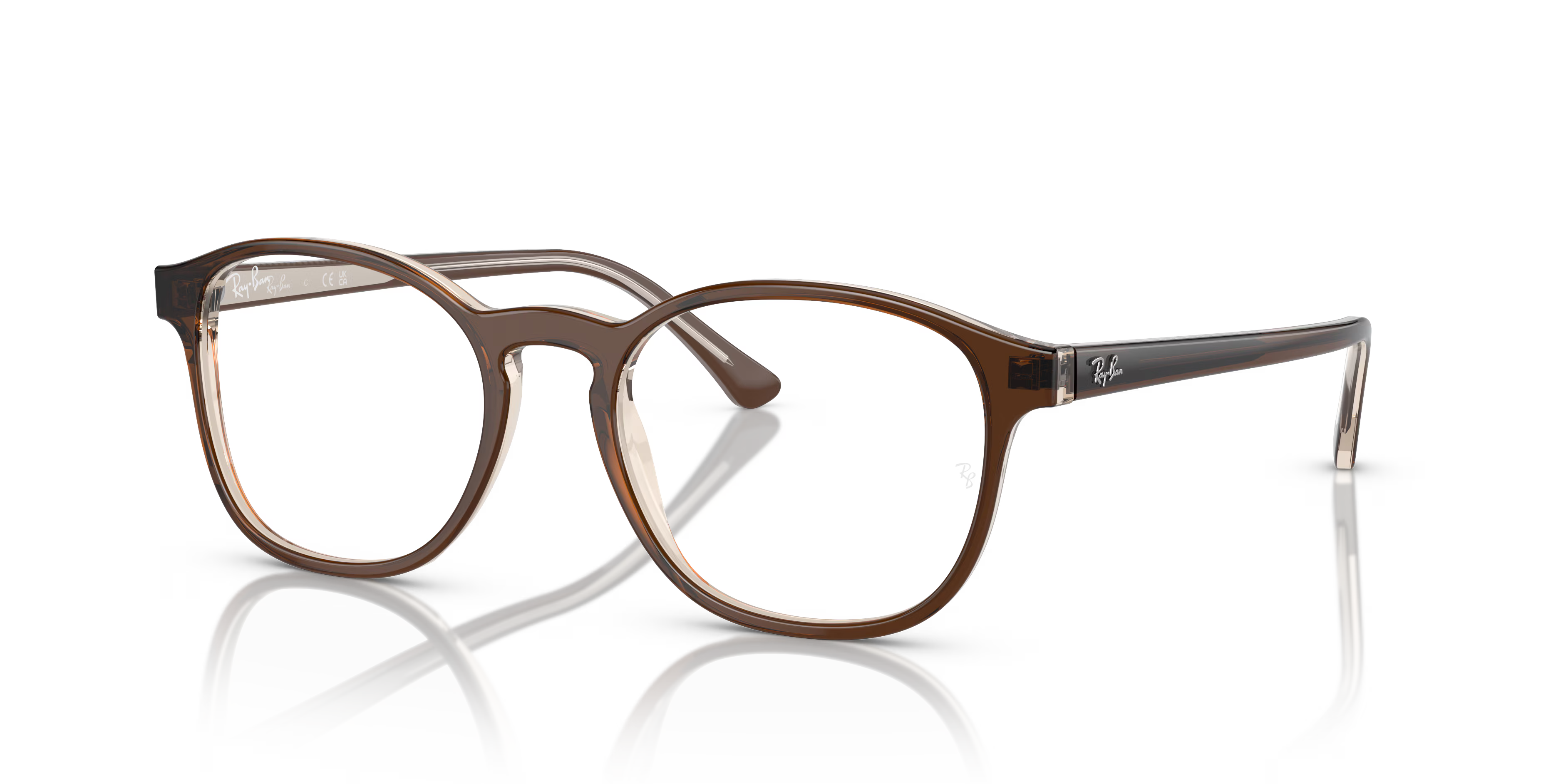 RB5417 OPTICS
