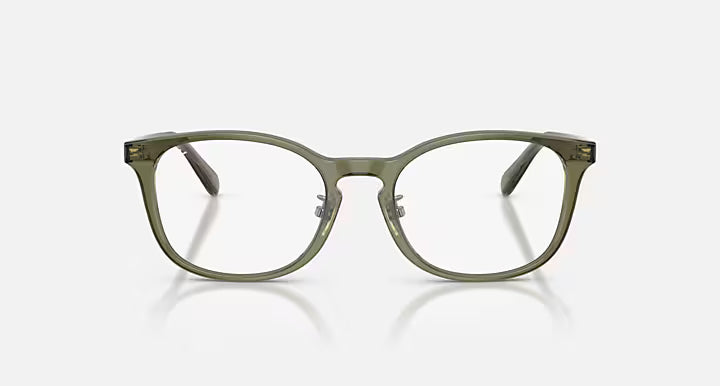 RB5386 OPTICS
