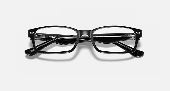 RB5206 OPTICS