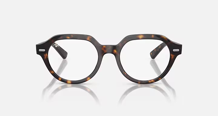 GINA OPTICS