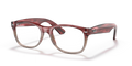 NEW WAYFARER OPTICS