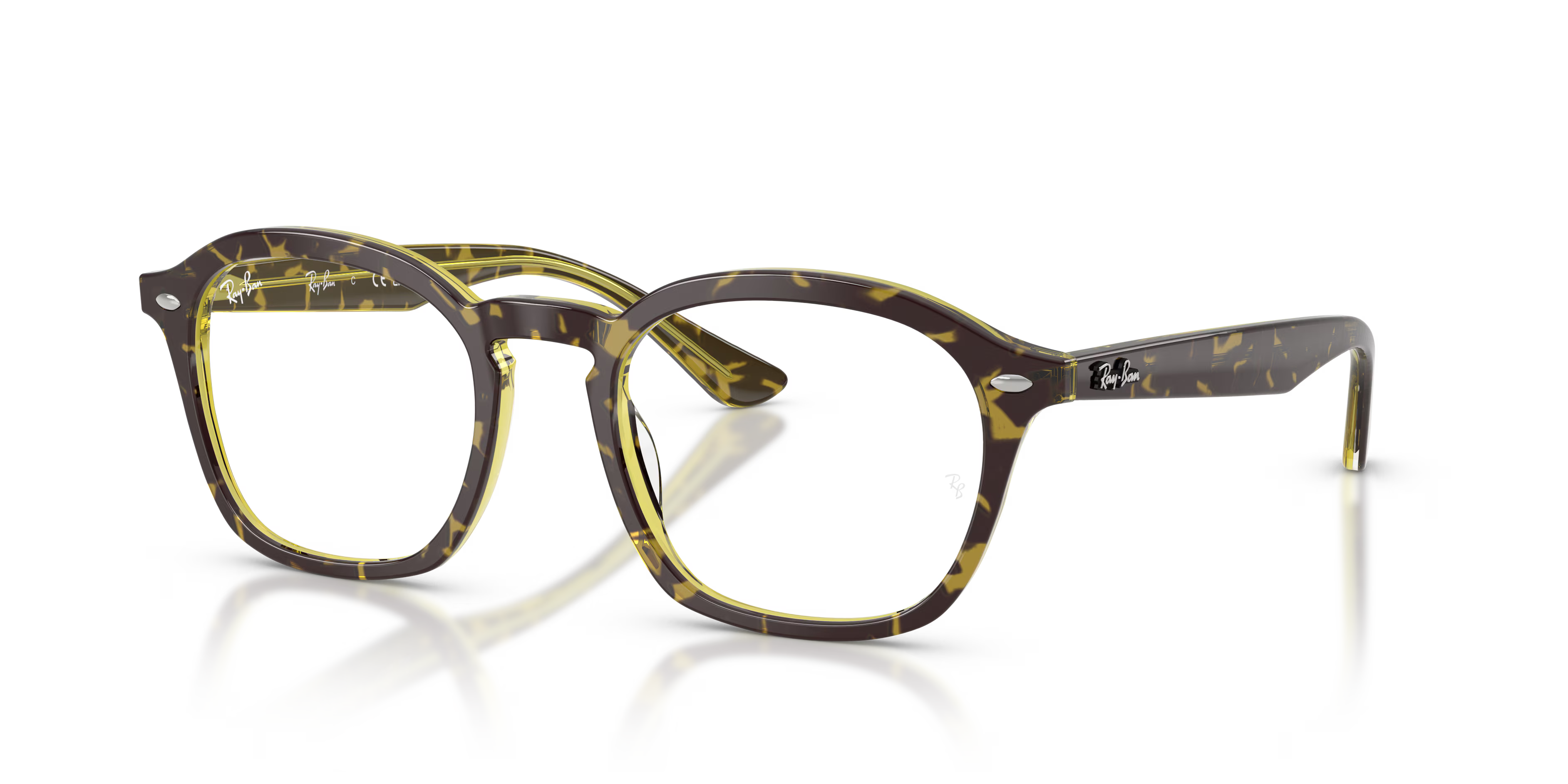 RB5451 OPTICS