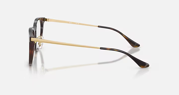 RB5453D OPTICS
