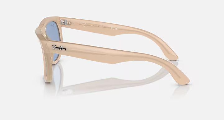 WAYFARER REVERSE