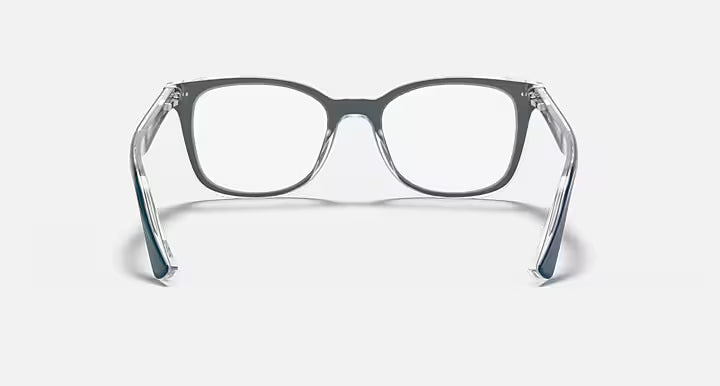 RB5285 OPTICS