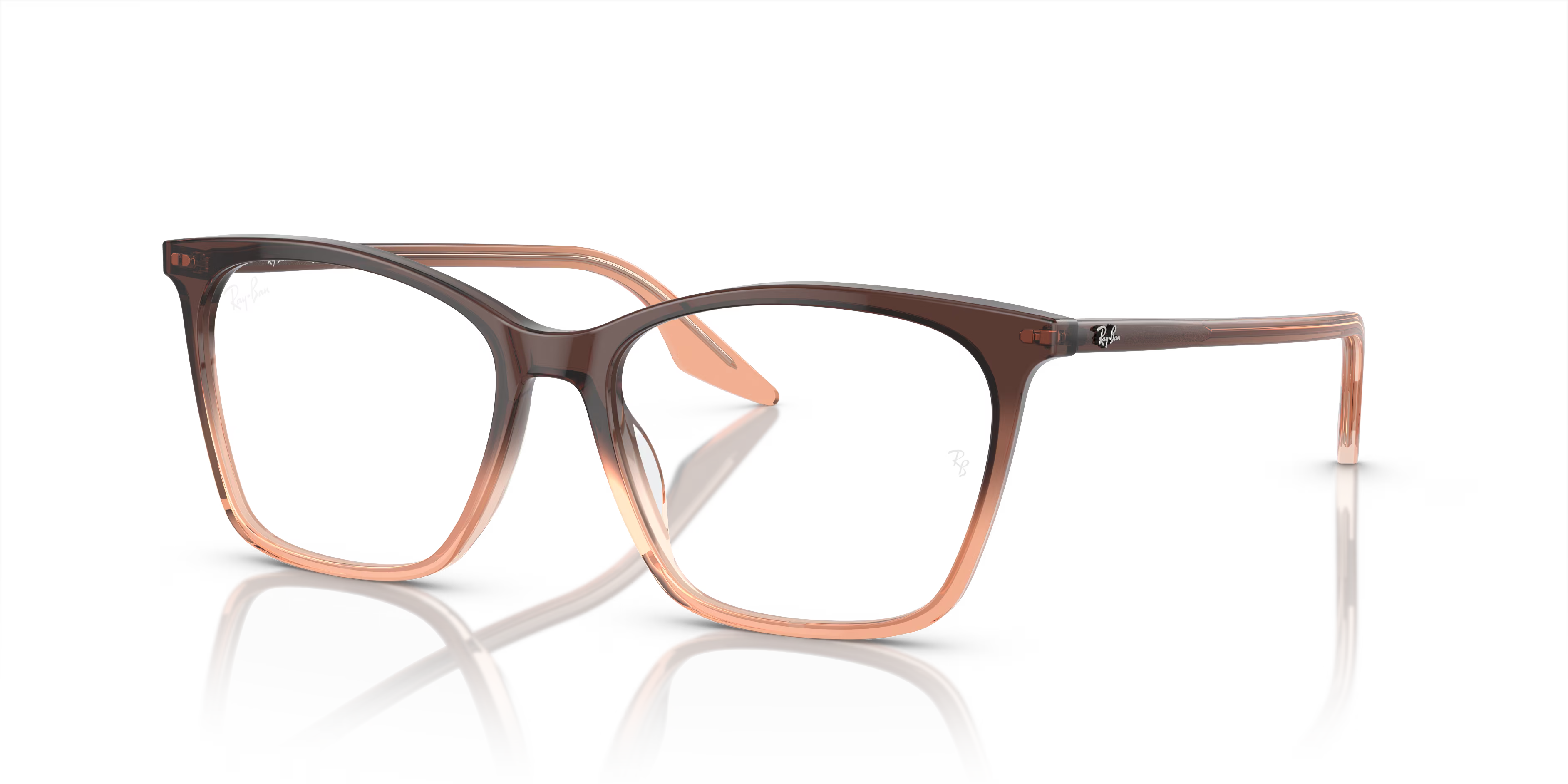 RB5422 OPTICS